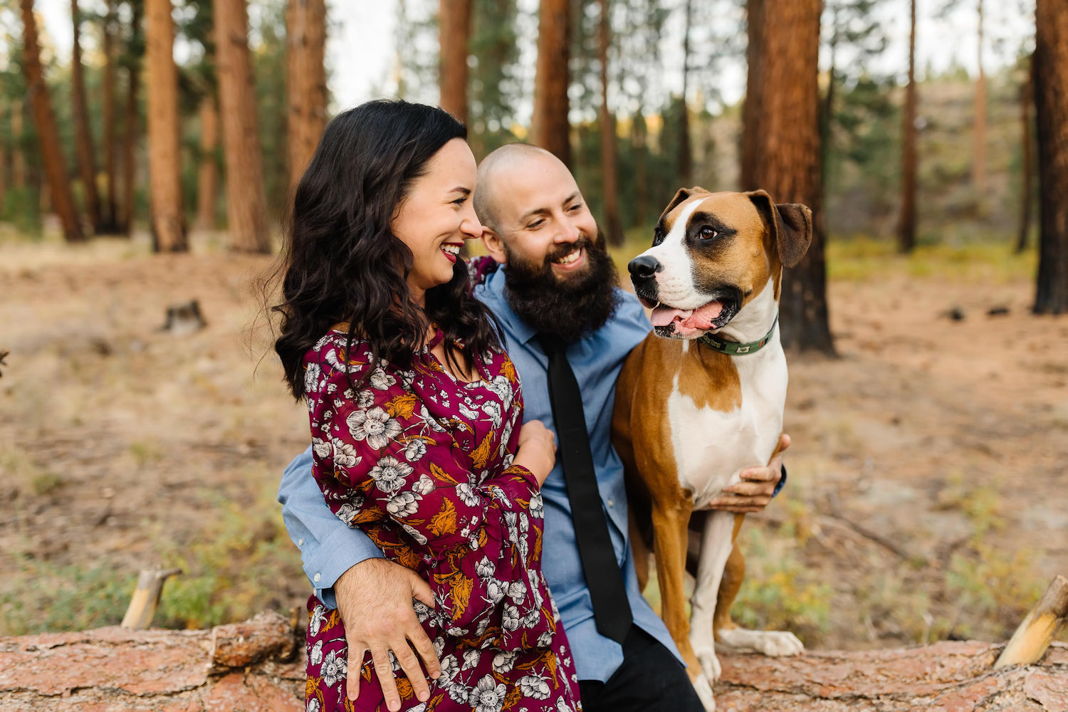 family-photos-in-bend-at-shevlin-park-couple-sitting-on-log-with-boxer