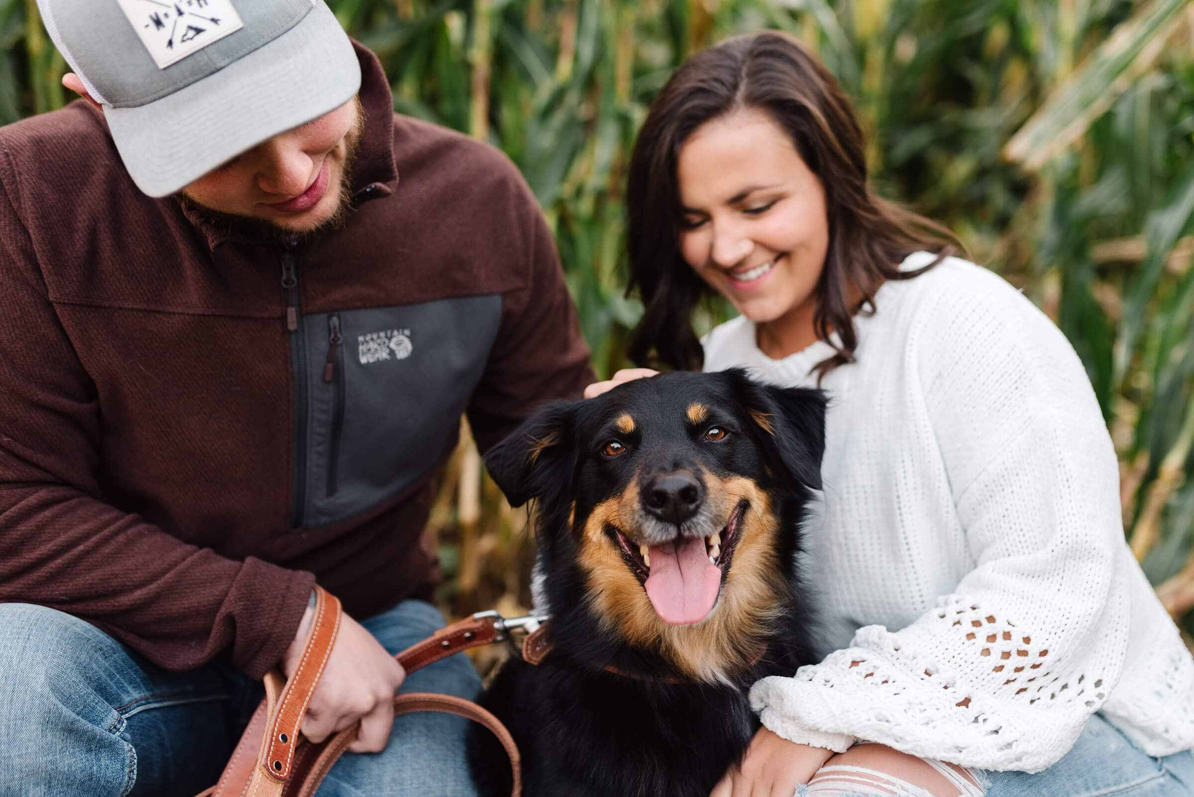 brown and black dog with tongue out during engagement shoot