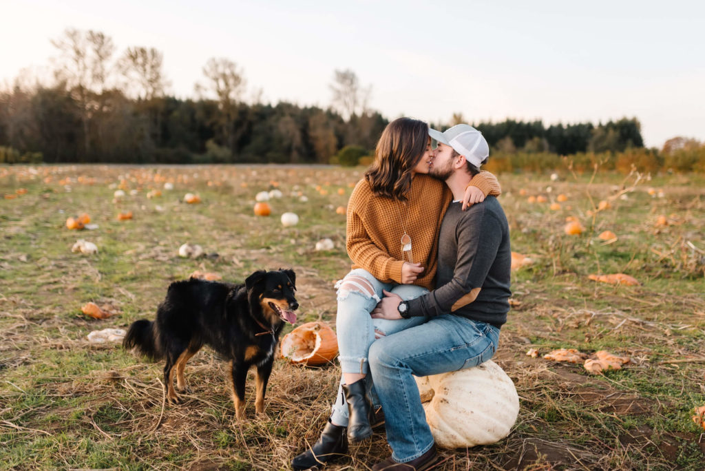 girl sitting on guys lap on white pumpkin with black and brown dog next to them