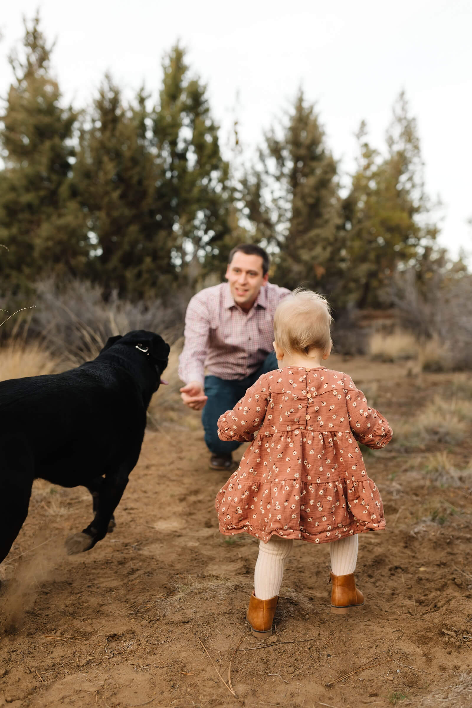baby in peach dress and black lab running towards father
